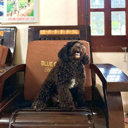 Blue Clouds Homestay Hoi An Luaran gambar