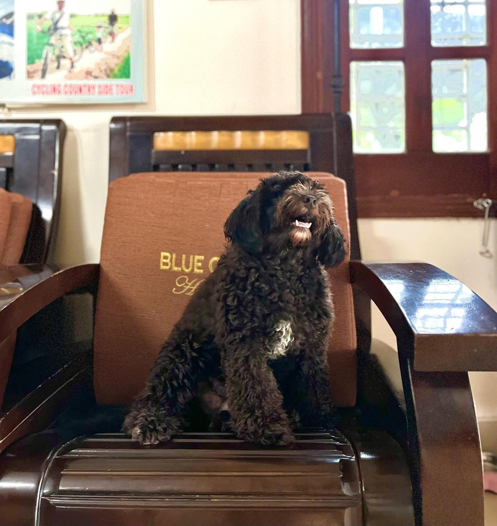 Blue Clouds Homestay Hoi An Luaran gambar
